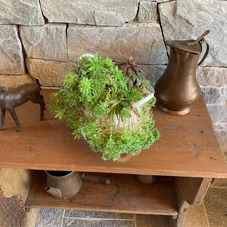 Alma * Haus im Ennstal