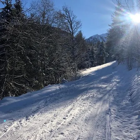 Chalet Alma