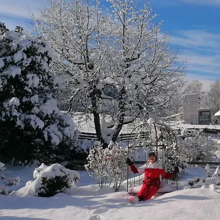 Alma * Haus im Ennstal