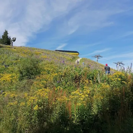 Alma 샬레 하우스 임 엔슈탈