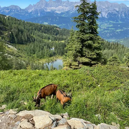 Alma Chalet Haus im Ennstal