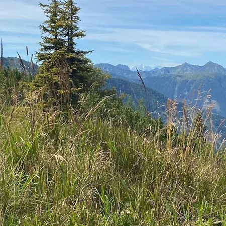 Alma Haus im Ennstal