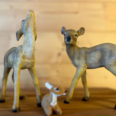 Chalet Alma Haus im Ennstal