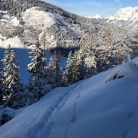 Alma Chalet Haus im Ennstal