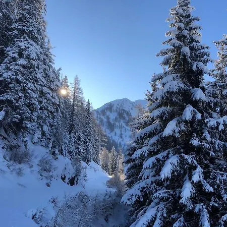 Alma * Haus im Ennstal