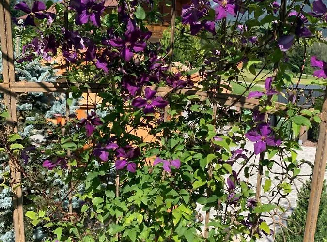 Alma Haus im Ennstal