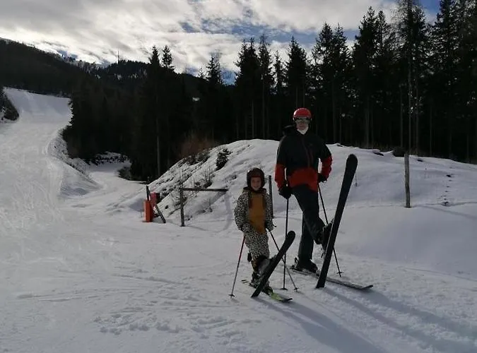 Chalet Alma Haus im Ennstal