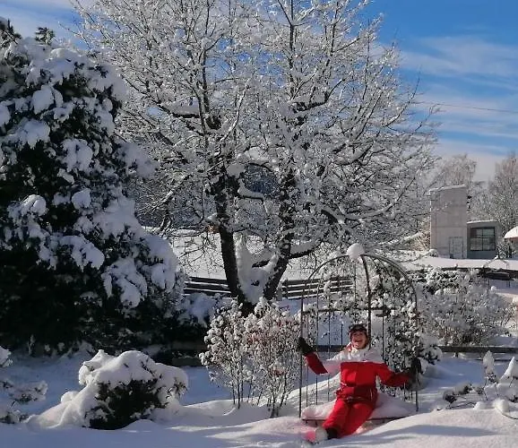 Alma * Haus im Ennstal