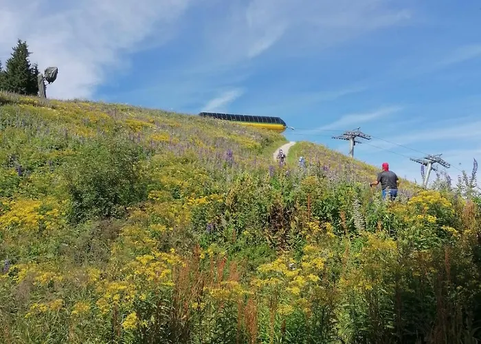 Alma Chalet Haus im Ennstal