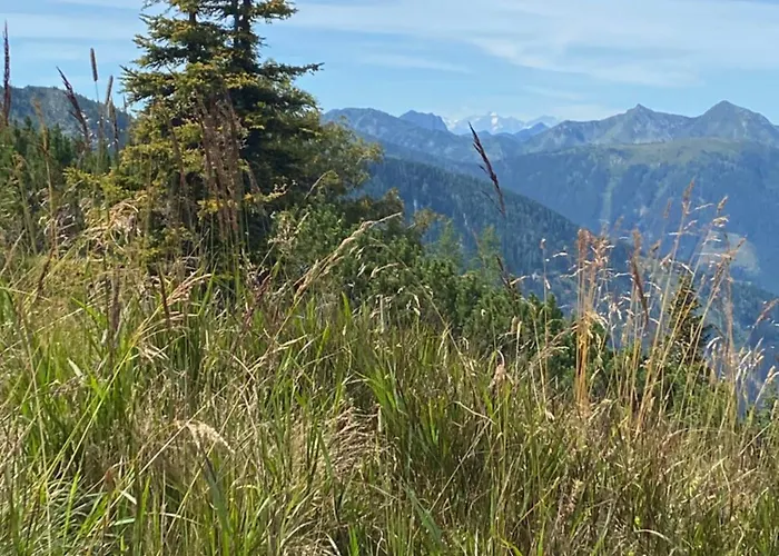 Alma Haus im Ennstal