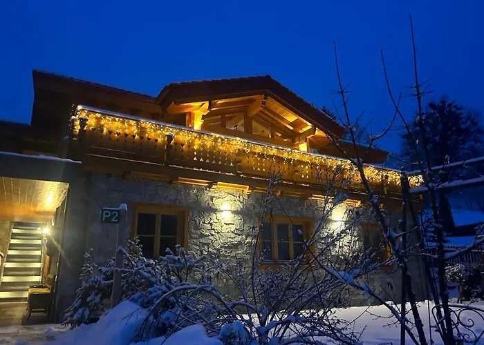 Alma Chalet Haus im Ennstal