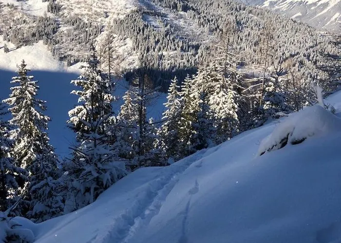 Alma Chalet Haus im Ennstal